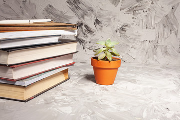 Stack of colorful books. An open book on a stack of books. The concept of education, international book day, success. Book, hardback colorful books on table. Education business concept.