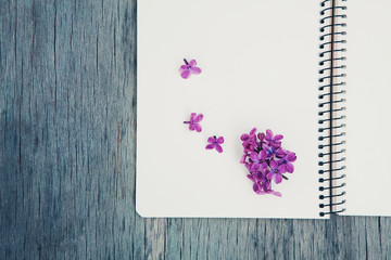 Lilac spring flowers and open blank notebook on old wooden background. Copy space