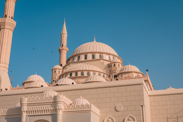 mosque in Abu Dhabi 