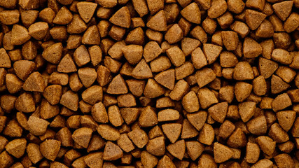 dry pet food background top view