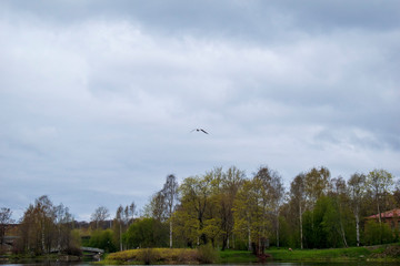 spring in town