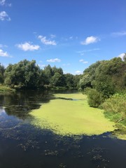 lake in the forest