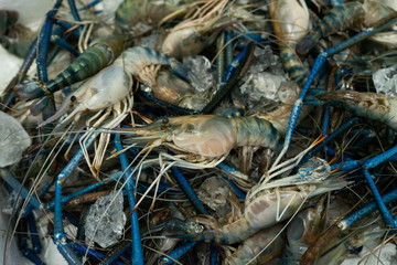 Top view fresh river prawns.