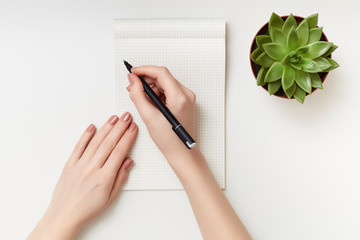 Flat lay of succulent and woman's hands holding a pen over the paper notebook on the white background