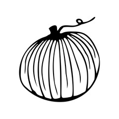 Hand drawn pumpkin isolated on a white background. Doodle, simple outline illustration. It can be used for decoration of textile, paper and other surfaces.