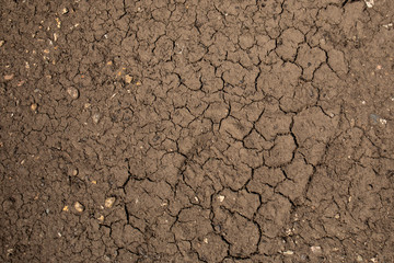 soil in the ground