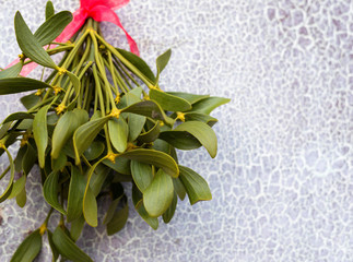 Christmas festive background with green mistletoe hanged on the old cracked door background.