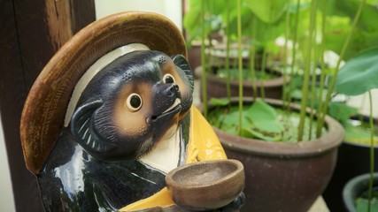 Shigaraki tanuki raccoon dog pottery. Japan
