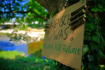 Umweltschutzplakat Fridays for Future