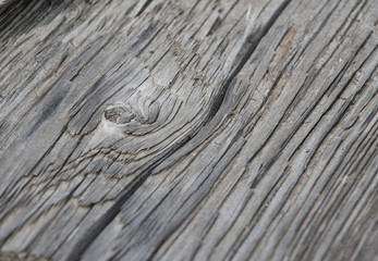 holzmaserung