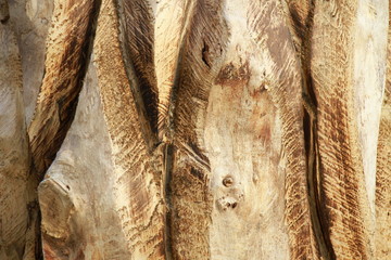 Background abstraction of wooden slats 1