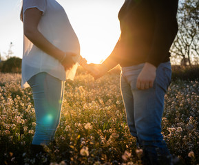 Fototapeta na wymiar Young pregnant couple holding hands into white flowers field with the sunset and sun rays in the background