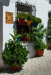 Fototapeta na wymiar The charming little white village of Frigiliana in southern Spain. Beautiful flowers in pots by a tradititional village house on a summers day. Typical of the heritage and culture of Andalusia.