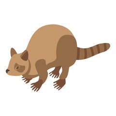 Raccoon beige icon. Isometric of raccoon beige vector icon for web design isolated on white background