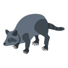 Raccoon pet icon. Isometric of raccoon pet vector icon for web design isolated on white background
