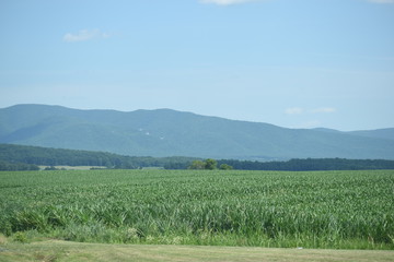 mountain skyline