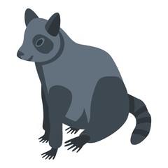 Kawaii raccoon icon. Isometric of kawaii raccoon vector icon for web design isolated on white background