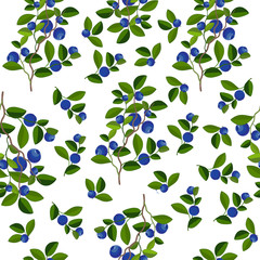 Blueberry twig. Berries and blueberries on a twig. Blueberry bush. Wild berry.  Vector seamless pattren