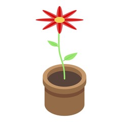 Pot flower icon. Isometric of pot flower vector icon for web design isolated on white background