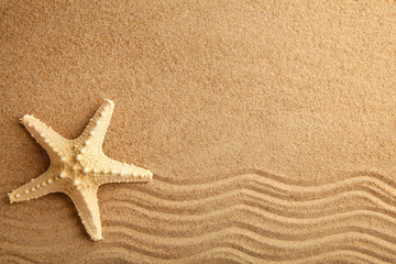 Fototapeta na wymiar Starfish on the sand, summertime. Top view