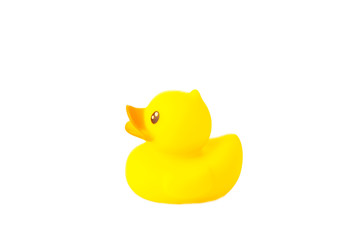 Yellow rubber duck isolated on white background