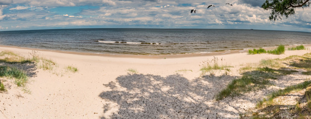 Panoramic view on sandy beach of the Baltic Sea. Spherical image composition for romantic...