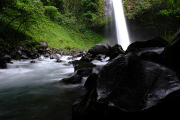 Long exposure photo at ground level of a river in the center of an Amazon jungle