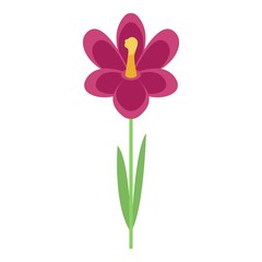 Crocus flower icon. Isometric of crocus flower vector icon for web design isolated on white background