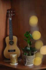 guitar and flowers