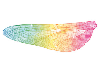 irisierende Zeichnung eines Libellen Flügels © namosh