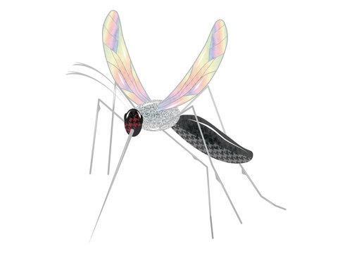 irisierende Zeichnung einer Stechm&uuml;cke Mosquito