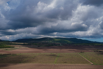 Obraz premium view of the valley with young vineyards, dramatic sky