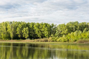 Fototapeta premium trees on the river