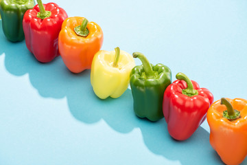 fresh colorful bell peppers in row on blue surface