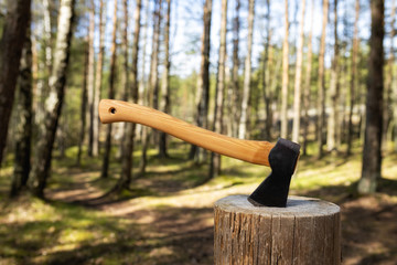 Axe stuck in the stump. Shot of axe cut in a stump on forest background. Sunny summer day....