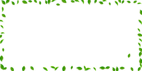 Falling green leaves. Fresh tea chaotic leaves fly