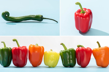 collage of fresh colorful bell peppers and jalapenos on blue surface on white background