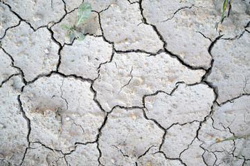 Dried earth with deep cracks on a mountain pathway in Finestrat-Spain.