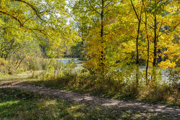 Fototapeta premium Colorful bright beautiful nature in early autumn