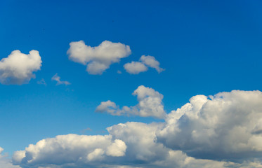 Naklejka na ściany i meble White clouds against a blue sky.