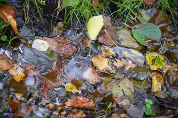 Hechtmoor im Herbst 2019