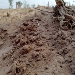 soil in the ground