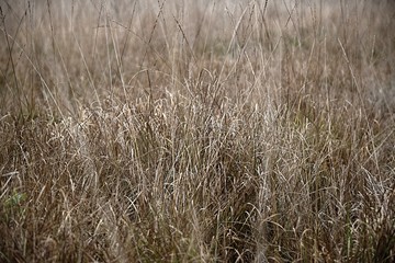 Hechtmoor im Herbst 2019