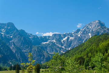 Fototapeta na wymiar mountain landscape in the alps, Grünau Austria