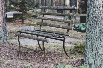 Curved old bench in the cemetery. Around the leaves and moss. Thick tree trunks. Horizontal.