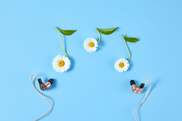 Stylish earphone and chamomile flowers in the form of notes on blue background. Springtime and music lovers concept.