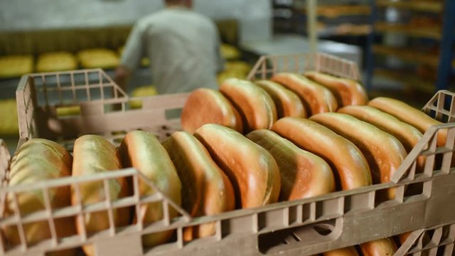 a young Baker takes fresh loaves and pastries from a production line or container and puts them in plastic trays for transport to bread stores in the background of a bakery or bread factory