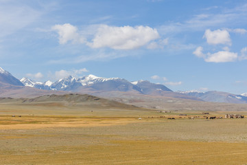 Typical view of Mongolian landscape. Mongolian Altai, Mongolia