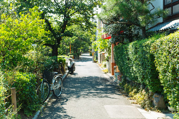 Obraz premium 小径
