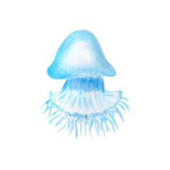 Blue jellyfish ocean luminescent underwater animal isolated on white background. Watercolor hand drawn illustration in realistic style. Concept of deep sea life, aquarium, nature, medusa.